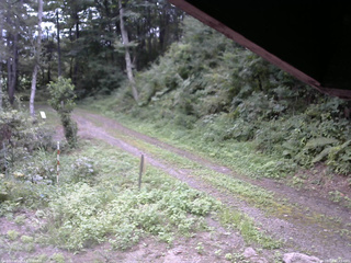 長野県菅平高原 ゆたか山荘 東側(坂下) 2025/08/27 12:45