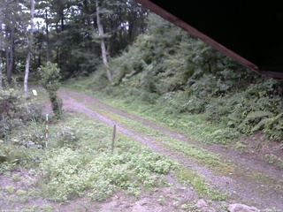 長野県菅平高原 ゆたか山荘 東側(坂下) 2025/08/27 13:30
