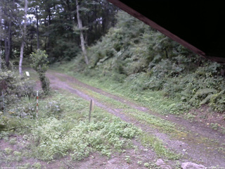 長野県菅平高原 ゆたか山荘 東側(坂下) 2025/08/27 16:00