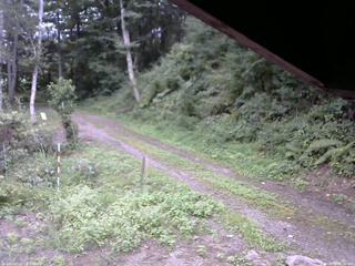 長野県菅平高原 ゆたか山荘 東側(坂下) 2025/08/27 16:30