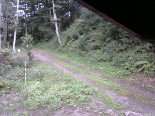 長野県菅平高原 ゆたか山荘 東側(坂下) 2025/08/27 17:00