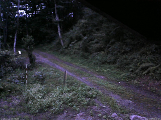 長野県菅平高原 ゆたか山荘 東側(坂下) 2025/08/27 18:30