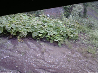 長野県菅平高原 ゆたか山荘 駐車場 2025/08/27 05:45