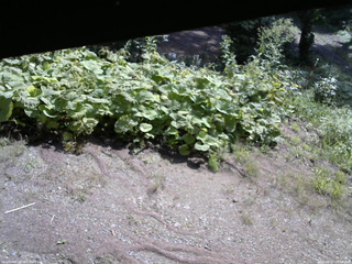 長野県菅平高原 ゆたか山荘 駐車場 2025/08/27 09:00
