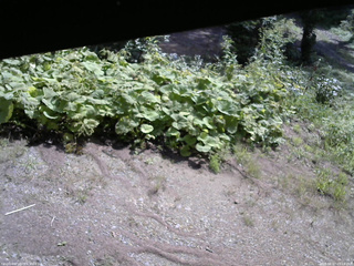 長野県菅平高原 ゆたか山荘 駐車場 2025/08/27 09:15