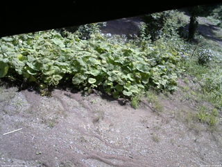 長野県菅平高原 ゆたか山荘 駐車場 2025/08/27 09:30