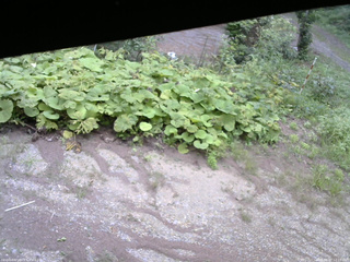 長野県菅平高原 ゆたか山荘 駐車場 2025/08/27 12:15