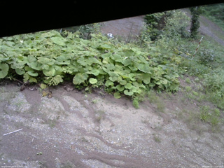 長野県菅平高原 ゆたか山荘 駐車場 2025/08/27 12:30