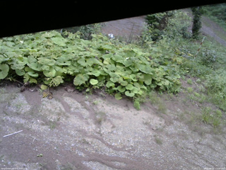 長野県菅平高原 ゆたか山荘 駐車場 2025/08/27 13:00