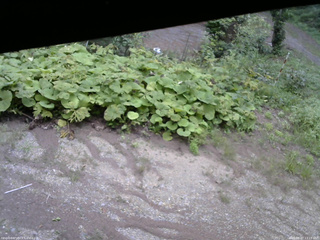 長野県菅平高原 ゆたか山荘 駐車場 2025/08/27 13:15