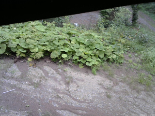 長野県菅平高原 ゆたか山荘 駐車場 2025/08/27 13:30