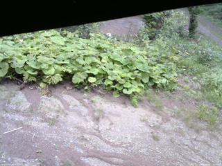 長野県菅平高原 ゆたか山荘 駐車場 2025/08/27 13:45