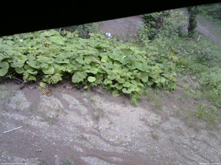長野県菅平高原 ゆたか山荘 駐車場 2025/08/27 14:00
