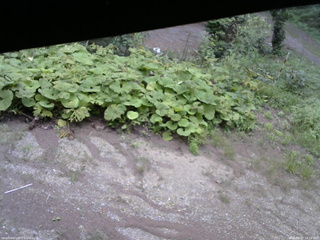 長野県菅平高原 ゆたか山荘 駐車場 2025/08/27 14:15