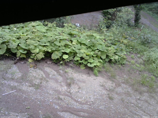 長野県菅平高原 ゆたか山荘 駐車場 2025/08/27 14:30