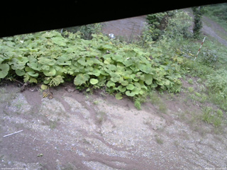 長野県菅平高原 ゆたか山荘 駐車場 2025/08/27 14:45