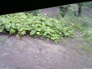 長野県菅平高原 ゆたか山荘 駐車場 2025/08/27 15:00