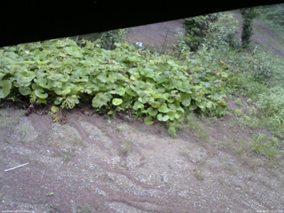 長野県菅平高原 ゆたか山荘 駐車場 2025/08/27 15:15