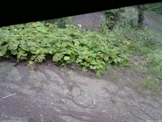 長野県菅平高原 ゆたか山荘 駐車場 2025/08/27 15:30