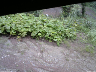 長野県菅平高原 ゆたか山荘 駐車場 2025/08/27 15:45