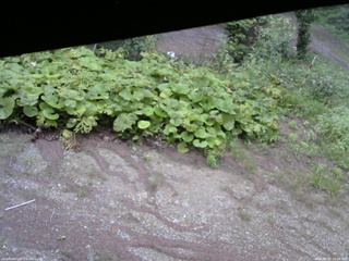 長野県菅平高原 ゆたか山荘 駐車場 2025/08/27 16:00