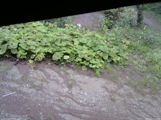 長野県菅平高原 ゆたか山荘 駐車場 2025/08/27 16:30