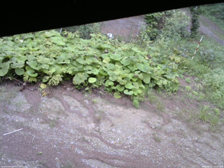 長野県菅平高原 ゆたか山荘 駐車場 2025/08/27 16:45
