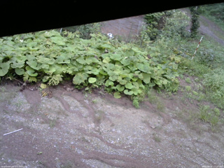 長野県菅平高原 ゆたか山荘 駐車場 2025/08/27 17:15