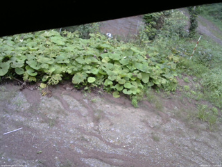 長野県菅平高原 ゆたか山荘 駐車場 2025/08/27 17:30