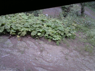 長野県菅平高原 ゆたか山荘 駐車場 2025/08/27 18:15