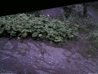 長野県菅平高原 ゆたか山荘 駐車場 2025/08/27 18:30