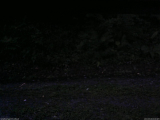 長野県菅平高原 ゆたか山荘 南側 2025/08/28 05:00