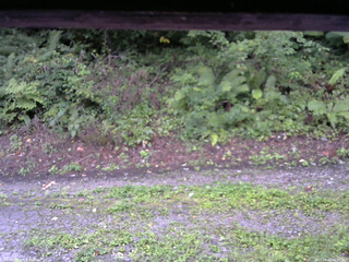 長野県菅平高原 ゆたか山荘 南側 2025/08/28 05:45