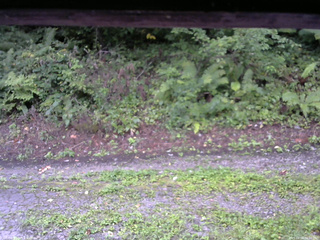 長野県菅平高原 ゆたか山荘 南側 2025/08/28 06:00