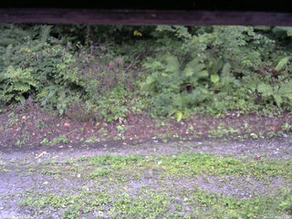 長野県菅平高原 ゆたか山荘 南側 2025/08/28 06:15