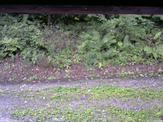 長野県菅平高原 ゆたか山荘 南側 2025/08/28 06:30