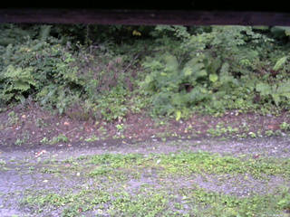 長野県菅平高原 ゆたか山荘 南側 2025/08/28 06:45