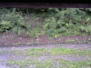 長野県菅平高原 ゆたか山荘 南側 2025/08/28 07:00