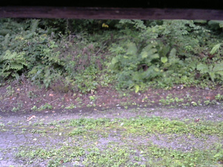 長野県菅平高原 ゆたか山荘 南側 2025/08/28 07:15