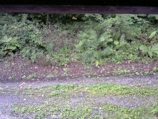 長野県菅平高原 ゆたか山荘 南側 2025/08/28 07:30