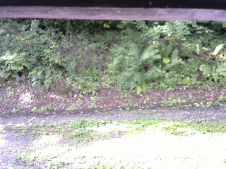 長野県菅平高原 ゆたか山荘 南側 2025/08/28 07:45