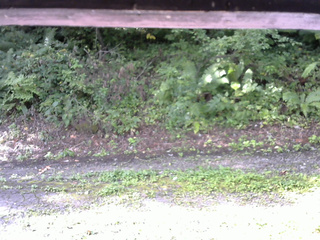 長野県菅平高原 ゆたか山荘 南側 2025/08/28 08:00