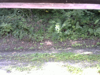 長野県菅平高原 ゆたか山荘 南側 2025/08/28 08:15