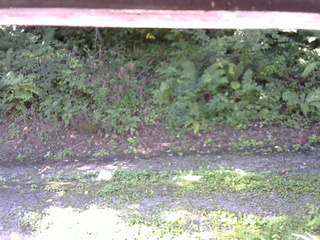 長野県菅平高原 ゆたか山荘 南側 2025/08/28 08:30