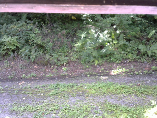 長野県菅平高原 ゆたか山荘 南側 2025/08/28 09:00