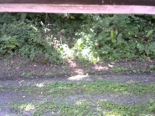 長野県菅平高原 ゆたか山荘 南側 2025/08/28 09:15