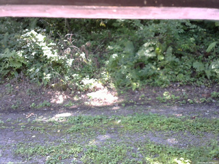 長野県菅平高原 ゆたか山荘 南側 2025/08/28 09:30