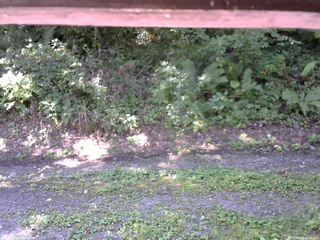 長野県菅平高原 ゆたか山荘 南側 2025/08/28 09:45