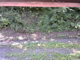 長野県菅平高原 ゆたか山荘 南側 2025/08/28 10:00