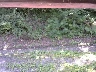 長野県菅平高原 ゆたか山荘 南側 2025/08/28 10:15